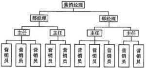 直线型组织结构