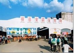 横州镇