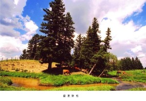 盛夏敖包