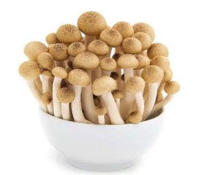 蟹味菇