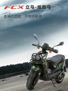 立马电动车