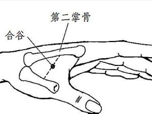 合谷穴