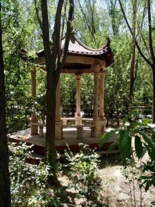 一中景色