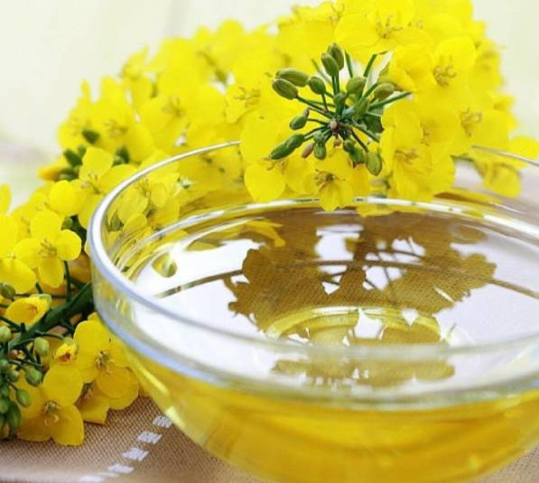 菜籽油