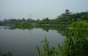 清水河公园