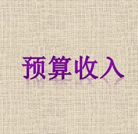 财务预算_预算收入的形式