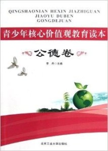 什么是青年的价值观 300