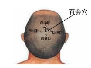 百会穴
