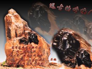 江在勋 作品《远古的呼唤》硅化木