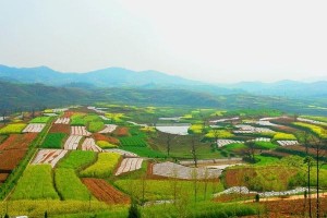 农业区