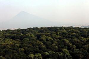 漳州圆山新城“荔枝海”