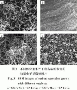 含缺陷碳纳米管