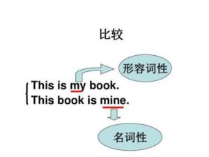 名词性物主代词