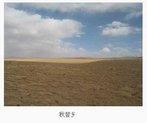 秋智乡