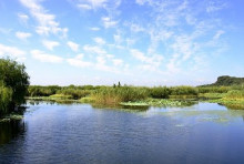 三山岛