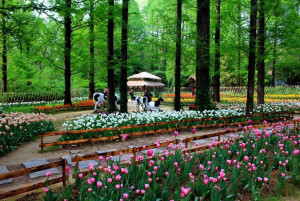 中山植物园
