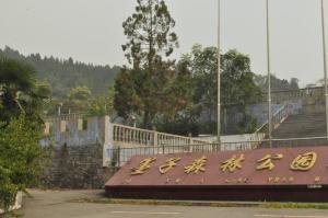 墨子森林公园