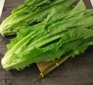 油麦菜