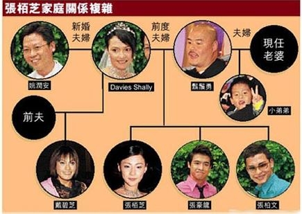 张柏芝家庭关系图