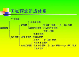 国家预算