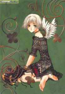 clover彩图