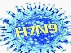H7N9