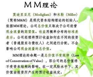 MM理论