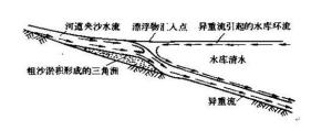图1  水库上游末端异重流的形成
