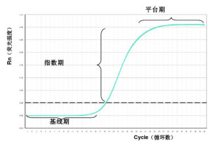 实时荧光定量PCR