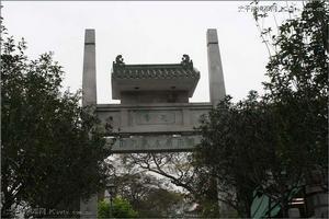 雀鸟公园