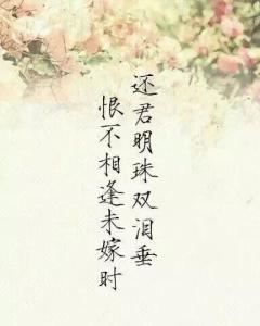恨不相逢未嫁时(唐代张籍诗句) - 搜狗百科