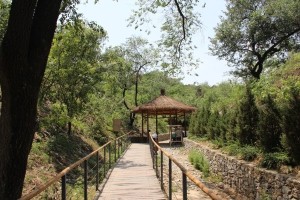 百望山森林公园