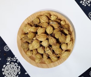 香砂