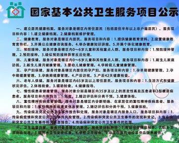 什么是基本公共卫生服务 0