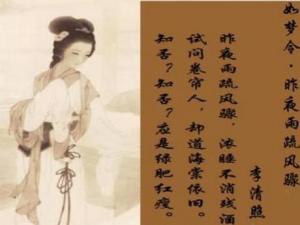 如梦令·昨夜雨疏风骤