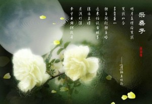 纳兰性德