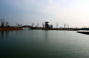 湿地公园