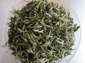 白牡丹茶