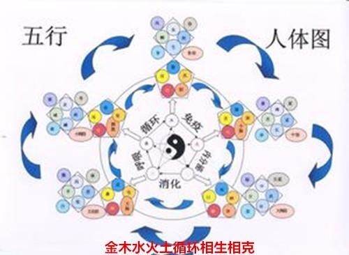 五行学说 中国古代民俗文化 搜狗百科