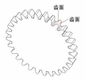 齿面