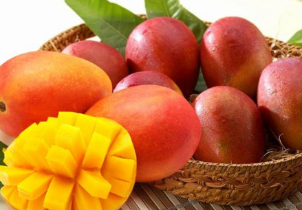 &egrave;&aelig;