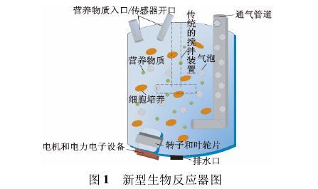 图1