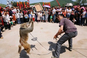 耍猴表演