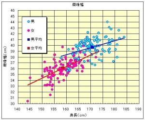 日本人人体寸法データベース1997-98