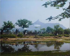 陈启源墓地所在