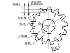 齿轮模数