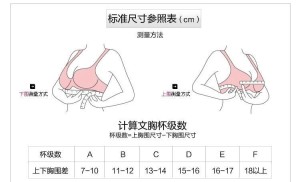 胸罩标准尺寸参照表