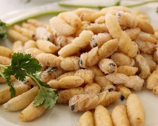 特色昆虫菜有油炸甜蜂蛹,炸蝎子,滚油幼蝉,炒蚂蚱,咸炒黄亮,油炸豆虫