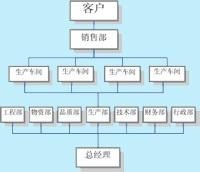 “总经理”在下的新式组织结构图