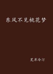 未竟之梦，探索梦见自己怀孕却未见孩子的深层含义